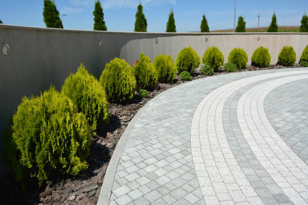 Best Affordable Driveway Paving  in Ridgeway, VA